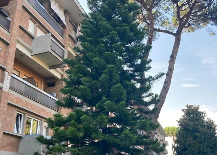 Terracito! Appartamento *