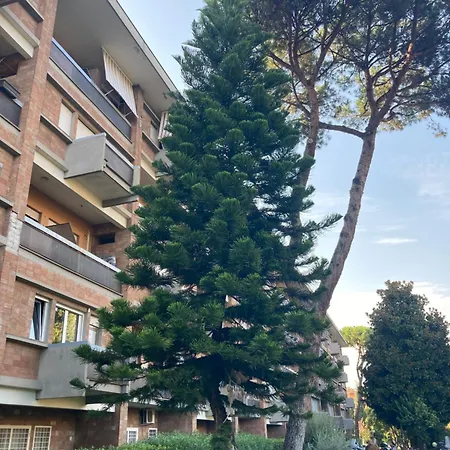 Terracito! Roma