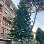 Terracito! Roma